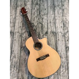  Guitar Acoustic  E65G